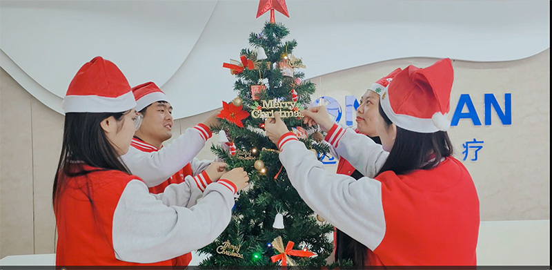 Merry Christmas and Happy New Year