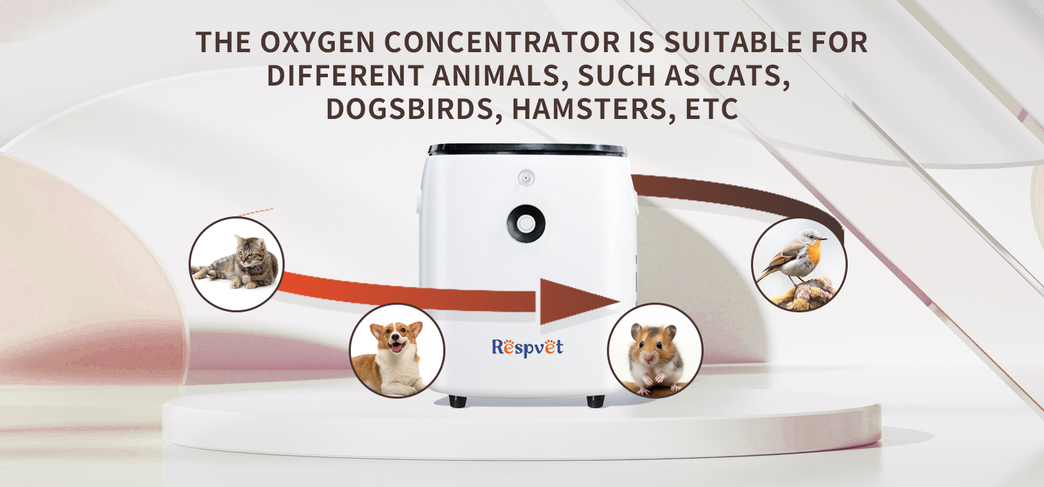 Veterinary Oxygen Concentrator