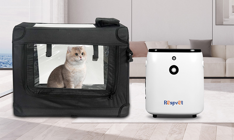 Oxygen Therapy in the Animals