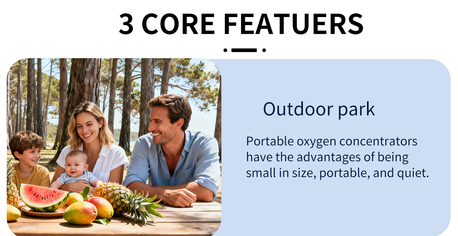 Portable Oxygen Concentrator