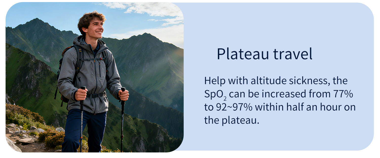 Portable Oxygen Concentrator