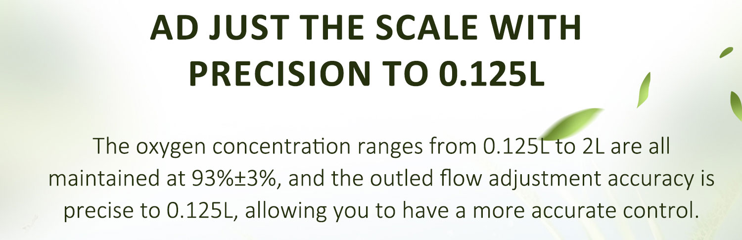 2L Oxygen Concentrator