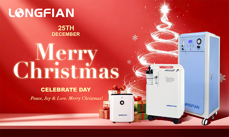 Merry Christmas 2025!