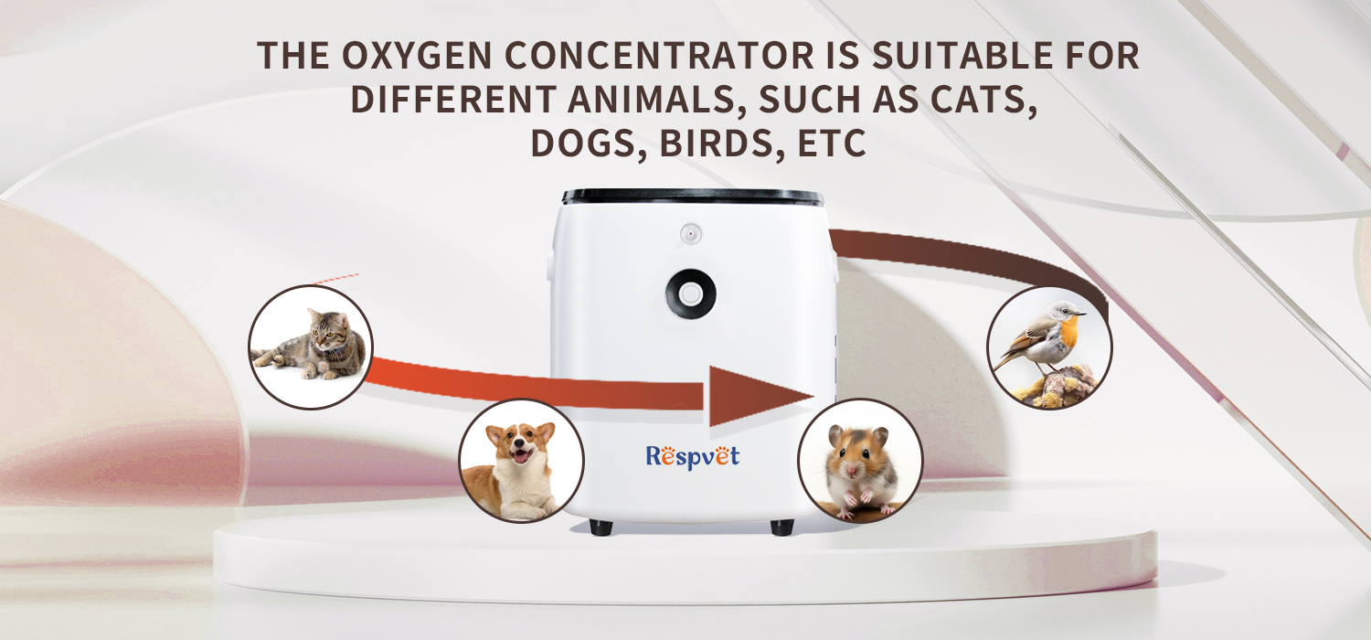 Veterinary Oxygen Concentrator