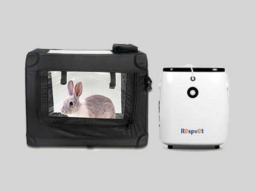 Veterinary Oxygen Concentrator:oxygen therapy for pets