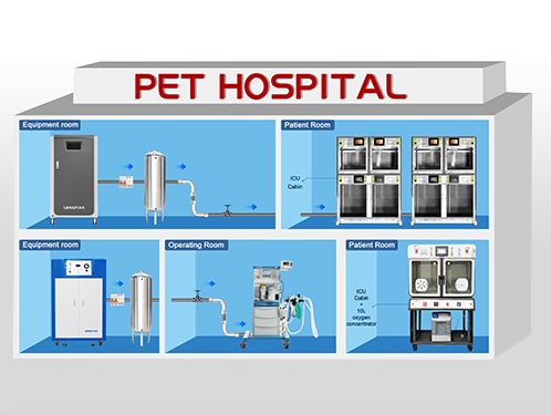 Oxygen Generating System For Veterinary Hospitals