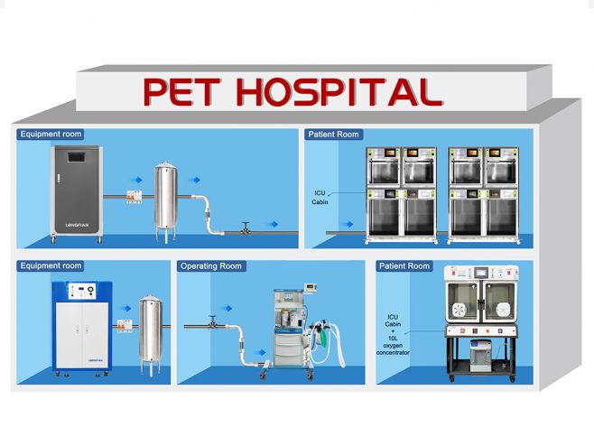 Oxygen Generating System For Veterinary Hospitals