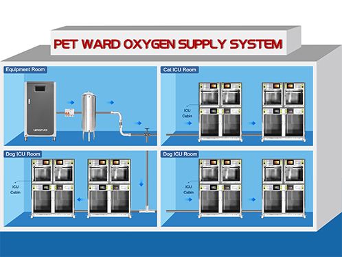 Oxygen Generating System For Veterinary Hospitals