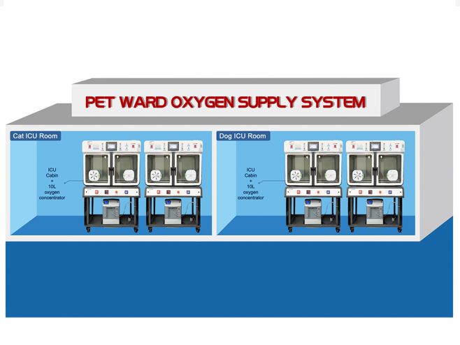 Oxygen Generating System For Veterinary Hospitals