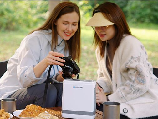 Pulse Flow Portable Oxygen Concentrator