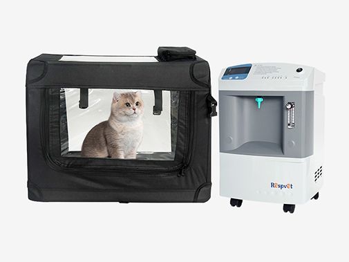 Pet ICU: Understanding Veterinary Critical Care