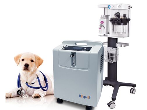 Oxygen Therapy for Veterinary