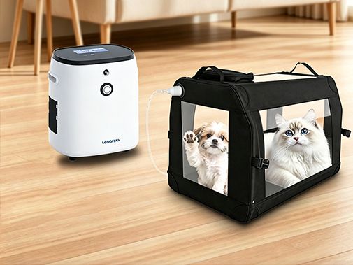 Why buy an animal oxygen chamber? What are the benefits of an animal oxygen chamber?